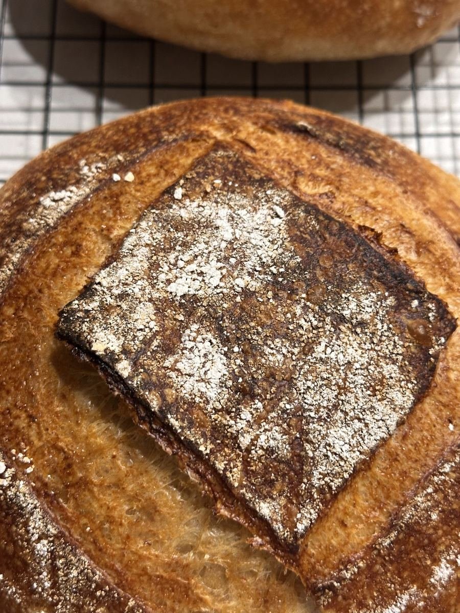 Freshly baked artisan bread at Suncoast Kitchen